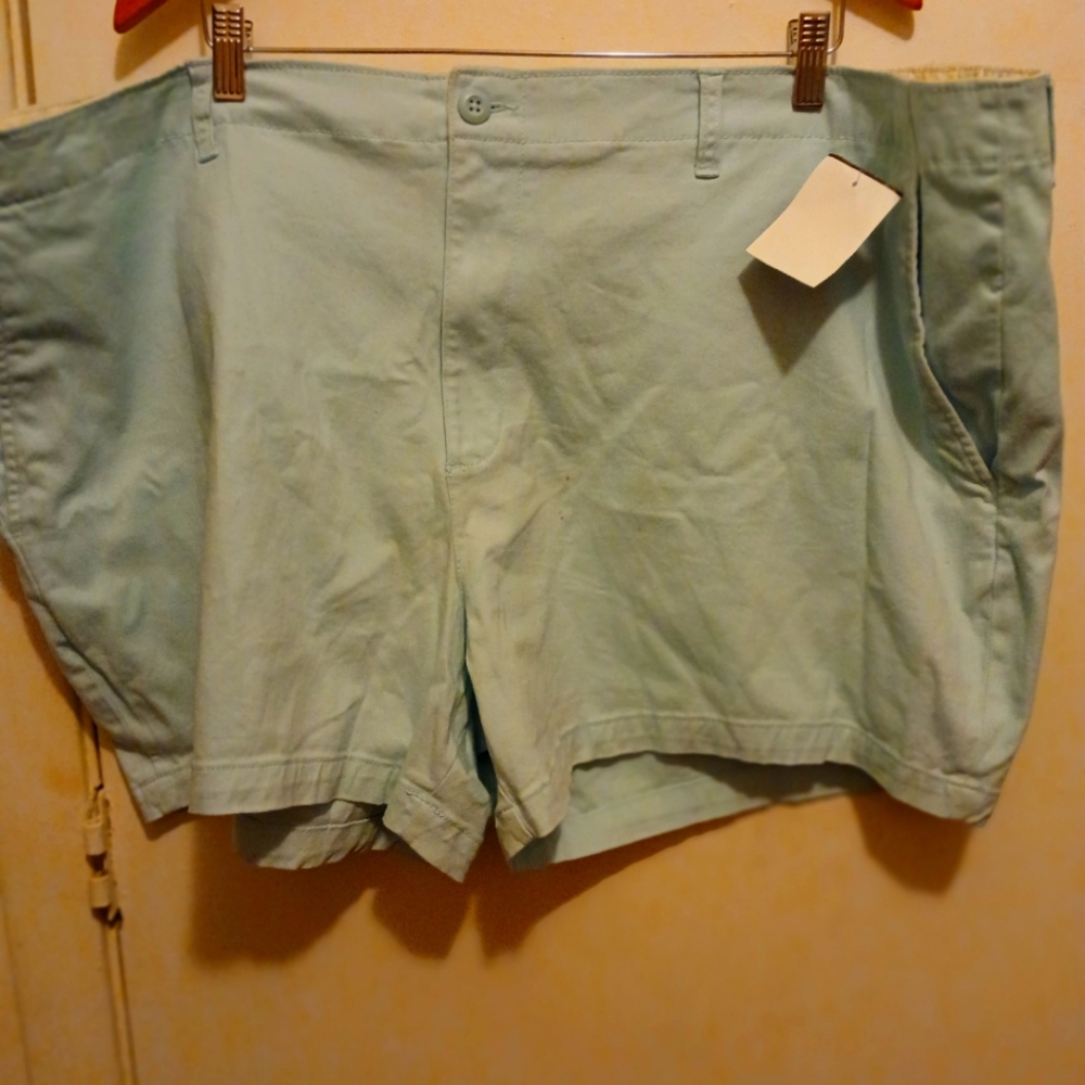 St. John Bay shorts Sky BLUE